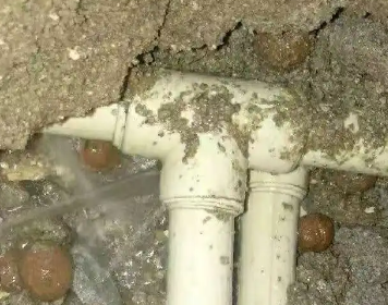 宁德市测漏水多少钱