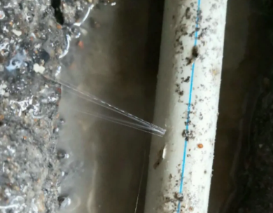 宁德市测漏水哪家好