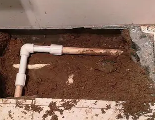 宁德市测漏水哪家好