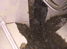 宁德市卫生间测漏水哪家好