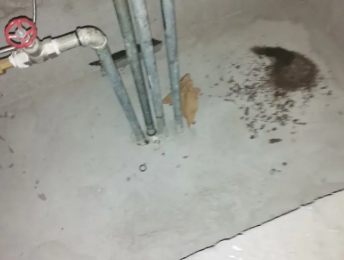 宁德市卫生间测漏水价格明细