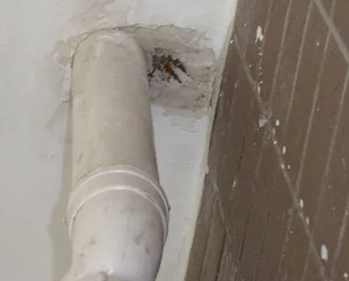 宁德市漏水检测哪家好